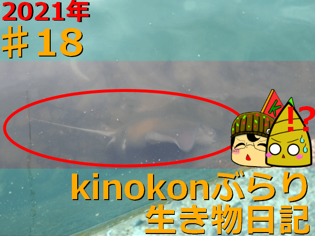 Thumbnail of post image 055